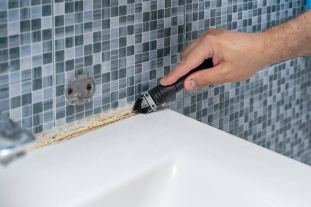 Best Affordable Mold Removal  in Rkesburg, PA